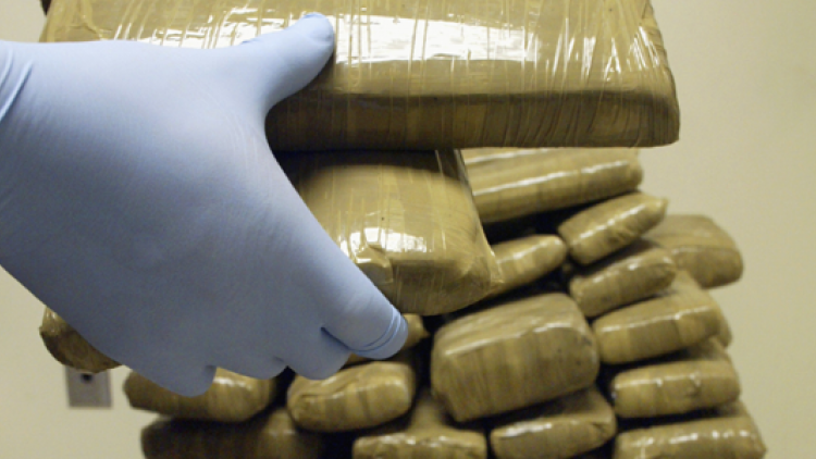 You are currently viewing ഒമാനില്‍ ഖാട്ട് കടത്ത്: മുന്നറിയിപ്പോടെ പോലീസ്