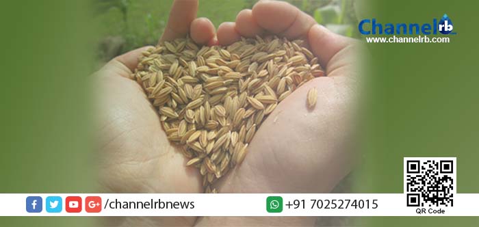 You are currently viewing നോട്ട് പ്രതിസന്ധി: ഫീസ് അടക്കാൻ വഴിയില്ലാതെ നെല്ല് നല്‍കി രക്ഷിതാക്കള്‍.