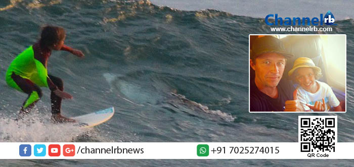 You are currently viewing കൊലയാളി സ്രാവിന്റെ മുകളില്‍ സര്‍ഫിംഗ് നടത്തി പത്തു വയസ്സുകാരന്‍.