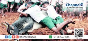 Read more about the article ജല്ലിക്കെട്ട് : മൂന്ന് മരണം.