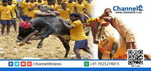 Read more about the article ജെല്ലിക്കെട്ട് പ്രക്ഷോഭം ആളിപടരുന്നു: പരിഹാരം കാണാന്‍ തമിഴ്‌നാട് മുഖ്യമന്ത്രി ഇന്ന് പ്രധാനമന്ത്രിയുമായി കൂടികാഴ്ച്ച നടത്തി.