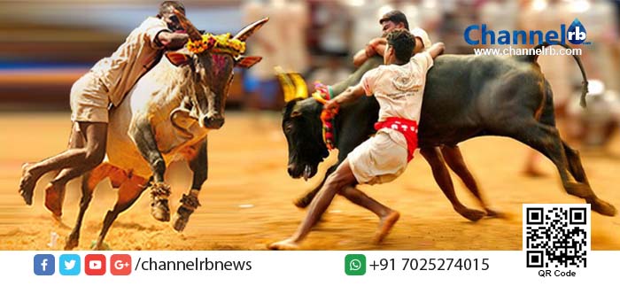 You are currently viewing ജെല്ലിക്കെട്ടിന്റെ ആരാധകര്‍ കേരളത്തിലും.