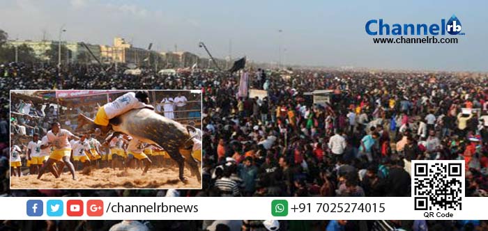 You are currently viewing ജെല്ലിക്കെട്ട് പ്രക്ഷോഭം: സംഘര്‍ഷാവസ്ഥ തുടരുന്നു.