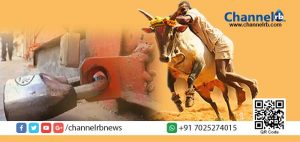 Read more about the article ജെല്ലിക്കെട്ടിനായി പ്രക്ഷോഭം ശക്തം: തമിഴ്‌നാട്ടില്‍ ഇന്ന് ബന്ദ്.