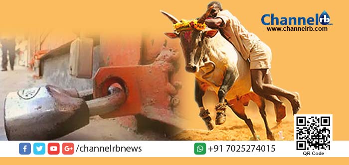 You are currently viewing ജെല്ലിക്കെട്ടിനായി പ്രക്ഷോഭം ശക്തം: തമിഴ്‌നാട്ടില്‍ ഇന്ന് ബന്ദ്.