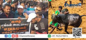 Read more about the article ജെല്ലിക്കെട്ട് അനുകൂലികള്‍ക്ക് ഐക്യദാര്‍ഢ്യവുമായി ഖത്തറില്‍ തമിഴ് മക്കളുടെ പ്രതിഷേധക്കൂട്ടായ്മ.