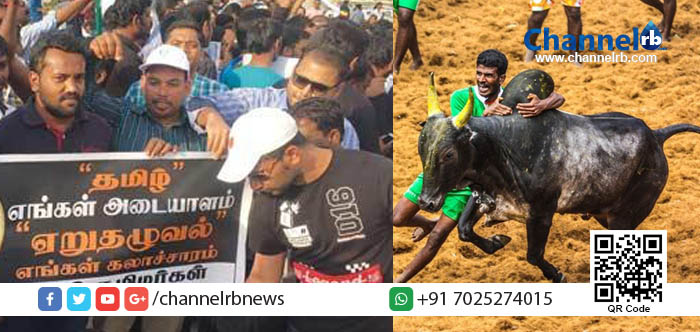 You are currently viewing ജെല്ലിക്കെട്ട് അനുകൂലികള്‍ക്ക് ഐക്യദാര്‍ഢ്യവുമായി ഖത്തറില്‍ തമിഴ് മക്കളുടെ പ്രതിഷേധക്കൂട്ടായ്മ.