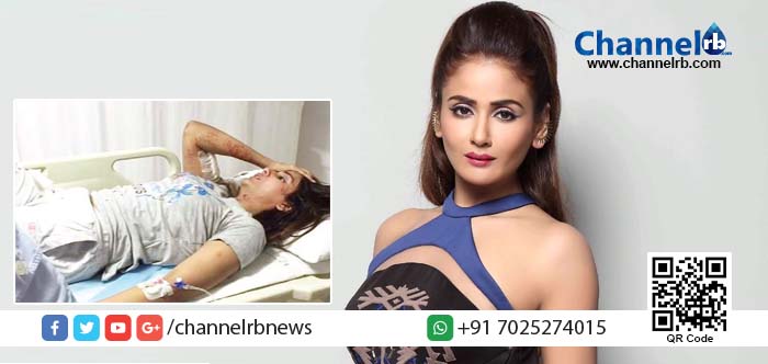 You are currently viewing വളര്‍ത്തു നായയെ രക്ഷിക്കാന്‍ ശ്രമിക്കുന്നതിനിടെ കന്നട നടിക്ക് തെരുവ് നായകളുടെ കടിയേറ്റു.