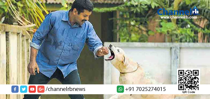 You are currently viewing ജാതി, മത, വര്‍ഗ്ഗ ഭേതമില്ല: ‘സല്‍മ’ ഇനി പ്രേംജിക്ക് സ്വന്തം.