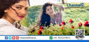 Read more about the article സായിപല്ലവിയുടെ പ്രതിഫലം കേട്ടാല്‍ മറ്റു നടിമാര്‍ ഞെട്ടിപ്പോകും.