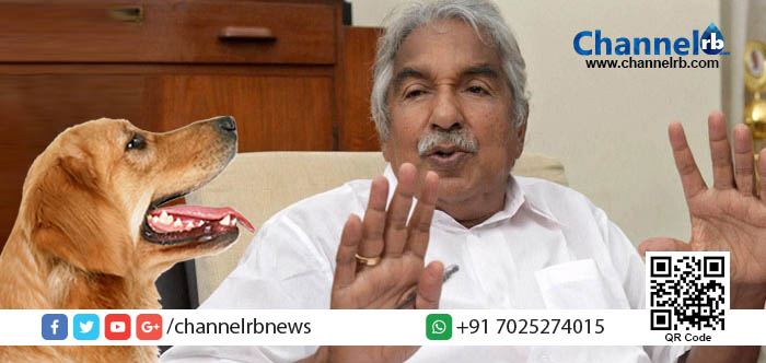 You are currently viewing മുന്‍മുഖ്യമന്ത്രി ഉമ്മന്‍ചാണ്ടിക്ക് നേരെ തെരുവ് നായ്ക്കളുടെ ആക്രമണ ശ്രമം.