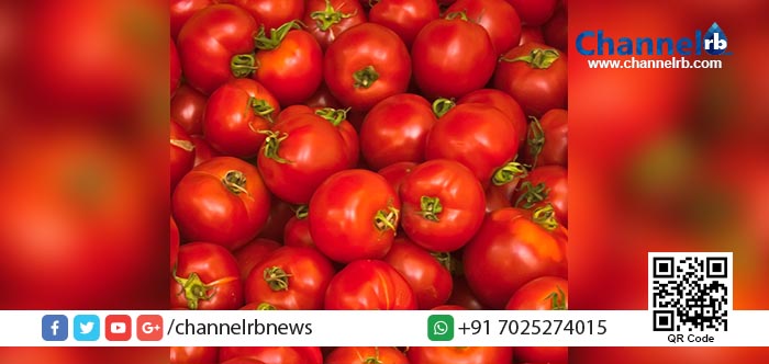 You are currently viewing വിലയിടിവ്: കര്‍ഷകര്‍ തക്കാളി കൂട്ടത്തോടെ വഴിയില്‍ തള്ളി.