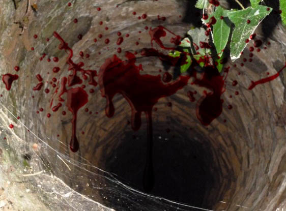 You are currently viewing മഞ്ചേശ്വരത്ത് പൊട്ടക്കിണറ്റില്‍ കണ്ടെത്തിയ മൃതദേഹം തളങ്കര സ്വദേശിയുടെത്.