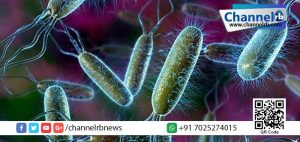 Read more about the article മനുഷ്യ ജീവന് ഭീഷണിയായി അജ്ഞാത ബാക്ടീരിയ ന്യൂയോര്‍ക്കില്‍ പടരുന്നു.