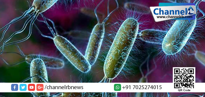 You are currently viewing മനുഷ്യ ജീവന് ഭീഷണിയായി അജ്ഞാത ബാക്ടീരിയ ന്യൂയോര്‍ക്കില്‍ പടരുന്നു.