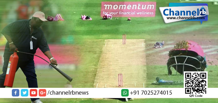 You are currently viewing തേനീച്ചകള്‍ വിചാരിച്ചാല്‍ ക്രിക്കറ്റ് മത്സരവും മുടങ്ങും!…