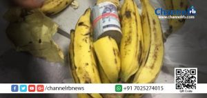 Read more about the article നേന്ത്രപ്പഴത്തില്‍ വിദേശ കറന്‍സി ഒളിപ്പിച്ച് കടത്താന്‍ ശ്രമിച്ച രണ്ടുപേര്‍ അറസ്റ്റില്‍.