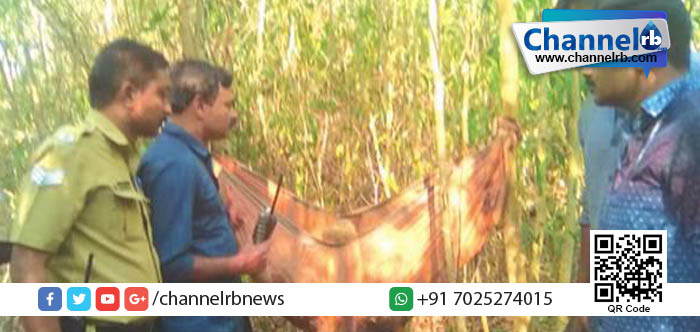 You are currently viewing കേരള സര്‍വകലാശാല കാര്യവട്ടം ക്യാമ്പസില്‍ അജ്ഞാത മൃതദേഹം.