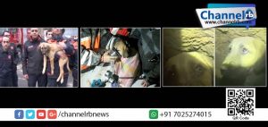 Read more about the article 200 അടി താഴ്ച്ചയുള്ള കുഴല്‍ കിണറില്‍ നിന്ന് കുയുവിന് പുതിയ ജീവിതം.