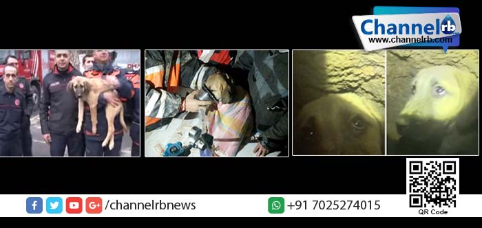 You are currently viewing 200 അടി താഴ്ച്ചയുള്ള കുഴല്‍ കിണറില്‍ നിന്ന് കുയുവിന് പുതിയ ജീവിതം.