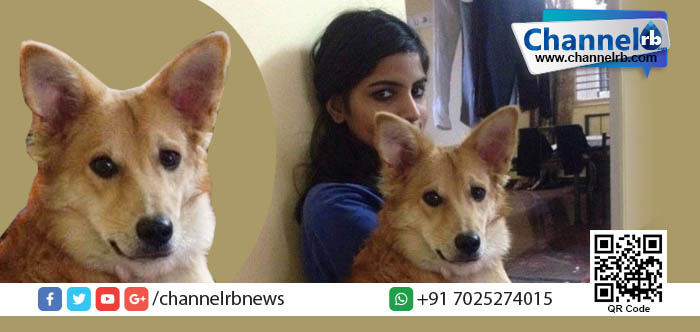 You are currently viewing വളര്‍ത്തു നായ ഇന്‍; പ്രതിശ്രുത വരന്‍ ഔട്ട്!…