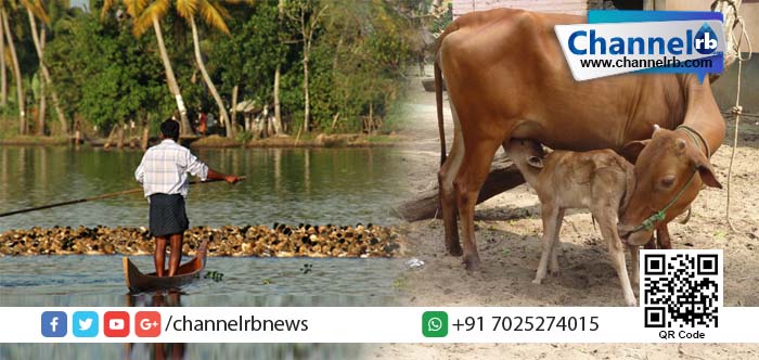 You are currently viewing ഇനിമുതല്‍ താറാവുകള്‍ക്കും കന്നുകാലികള്‍ക്കും ഇന്‍ഷുറന്‍സ്.