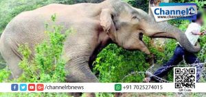 Read more about the article വയനാട്ടില്‍ വീണ്ടും കാട്ടാനയുടെ ആക്രമണം; കര്‍ണാടക സ്വദേശി കൊല്ലപ്പെട്ടു.