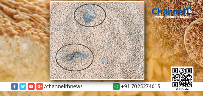 You are currently viewing റേഷന്‍ കടയില്‍ നിന്ന് വിതരണം ചെയ്ത ഗോതമ്പില്‍ ചത്ത് ജീര്‍ണ്ണിച്ച എലികള്‍.