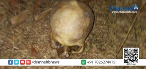 Read more about the article കാസര്‍കോട് തെങ്ങിന്‍ പറമ്പില്‍ മനുഷ്യന്റെ തലയോട്ടി കണ്ടെത്തി.