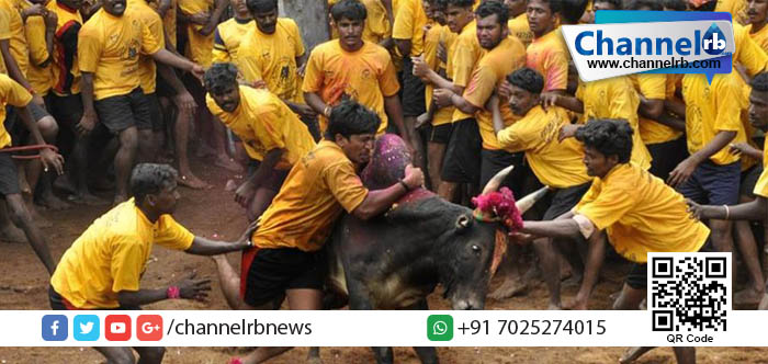 You are currently viewing അളകാനെല്ലൂര്‍ ജെല്ലിക്കെട്ടിന് മധുരയില്‍ തുടക്കം.