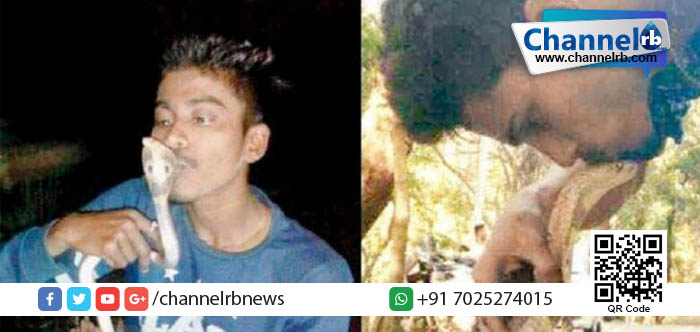 You are currently viewing പാമ്പിനെ ചുംബിച്ച് കൊണ്ട് സെല്‍ഫി: യുവാവിന് സംഭവിച്ചത്!…