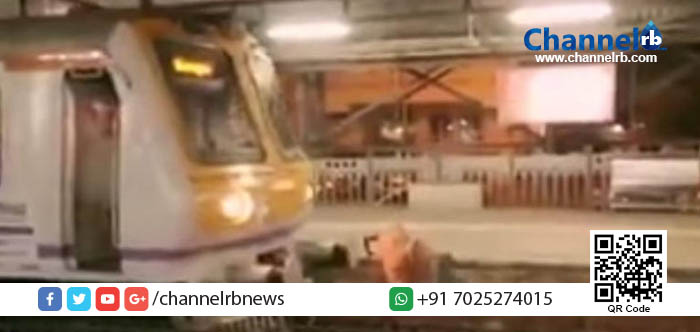 You are currently viewing മരണം ഒരു നിമിഷം കൊണ്ട് ആ വൃദ്ധയുടെ മുന്നില്‍ മുട്ടുകുത്തി! എങ്ങനെയാണെന്ന് അറിഞ്ഞാല്‍ ഞെട്ടും.