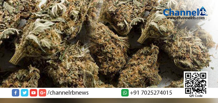 You are currently viewing ട്രെയിനില്‍ കഞ്ചാവ് കടത്താന്‍ ശ്രമിച്ച യുവാവ് കാസര്‍കോട്ട് വെച്ച് എക്‌സൈസ് സംഘത്തിന്റെ പിടിയിലായി.