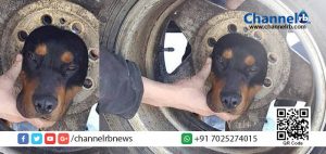 Read more about the article ദയനീയം ഈ കാഴ്ച.