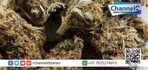 Read more about the article തൃശൂരില്‍ കഞ്ചാവുമായി വിദ്യാര്‍ഥി പിടിയില്‍.