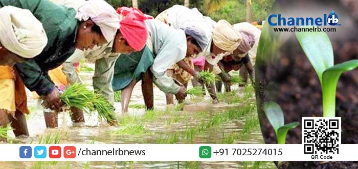 You are currently viewing കേന്ദ്രബജറ്റില്‍ കര്‍ഷകര്‍ക്ക് പ്രതീക്ഷയേകി വിവിധ പദ്ധതികള്‍.