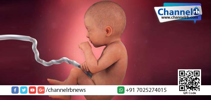 You are currently viewing ഉപേക്ഷിച്ച നിലയില്‍ 19 പെണ്‍ ഭ്രൂണങ്ങള്‍: പിന്നില്‍ വന്‍ റാക്കറ്റ്.