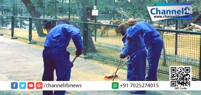 Read more about the article ജീവനുള്ള പൂച്ചയെ നായ്ക്കള്‍ക്ക് ഭക്ഷണമായി നല്‍കിയവര്‍ക്ക് കിട്ടിയ ശിക്ഷ ഉഗ്രന്‍!