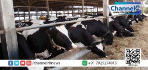 Read more about the article ഗോ സംരക്ഷണ ബില്‍ രാജ്യസഭയില്‍; പശുക്കളെ കൊല്ലുന്നവര്‍ക്ക് ഇനി വധശിക്ഷ.