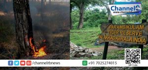 Read more about the article പറമ്പിക്കുളം കടുവസങ്കേതത്തില്‍ കാട്ടുതീ; തീ നിയന്ത്രണം ഡാമിലെ വെള്ളം ഉപയോഗിച്ച്.