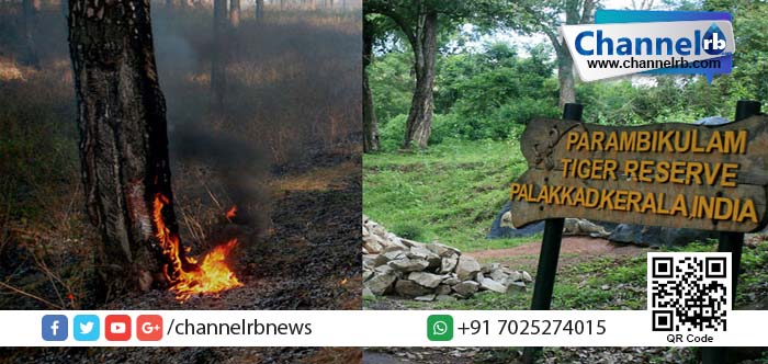 You are currently viewing പറമ്പിക്കുളം കടുവസങ്കേതത്തില്‍ കാട്ടുതീ; തീ നിയന്ത്രണം ഡാമിലെ വെള്ളം ഉപയോഗിച്ച്.