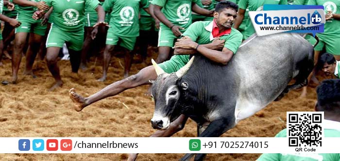 You are currently viewing തമിഴ്‌നാട്ടില്‍ ജെല്ലിക്കെട്ടിനിടെ രണ്ട് മരണം.