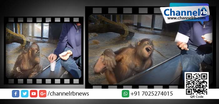 You are currently viewing ചേട്ടാ… ഒരു മാജിക് കൂടി കാണിക്കാമോ ? പ്ലീസ്….