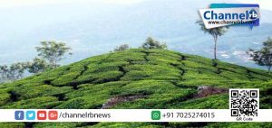 Read more about the article എസ്. രാജേന്ദ്രന്റെത് കൈയ്യേറ്റ ഭൂമി: പട്ടയമുണ്ടെന്ന വാദം പൊളിയുന്നു.