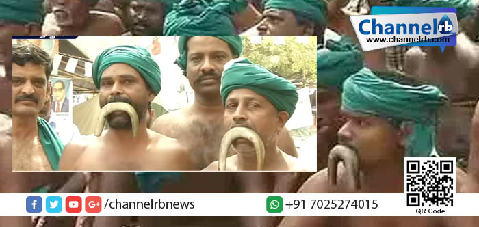 You are currently viewing കര്‍ഷകാത്മഹത്യ കണ്ടിട്ടും കേന്ദ്രസര്‍ക്കാര്‍ കനിയുന്നില്ല: ചത്ത പാമ്പിനെ കടിച്ചു പിടിച്ച് കര്‍ഷകര്‍  പ്രതിഷേധത്തില്‍.