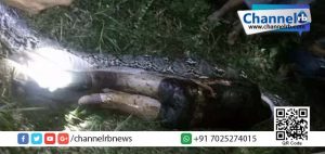 Read more about the article കൃഷിയിടത്തില്‍ കാണാതായ സുഹൃത്തിനെ തേടി വന്ന നാട്ടുകാര്‍ കണ്ടത്…