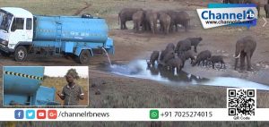 Read more about the article ഇവന്‍ വന്യമൃഗങ്ങളുടെ ദാഹമകറ്റുന്നവന്‍… പ്രിയപ്പെട്ട പാട്രിക്, നിന്നെ ഞങ്ങള്‍ ഹൃദയത്തോട് ചേര്‍ക്കുന്നു.