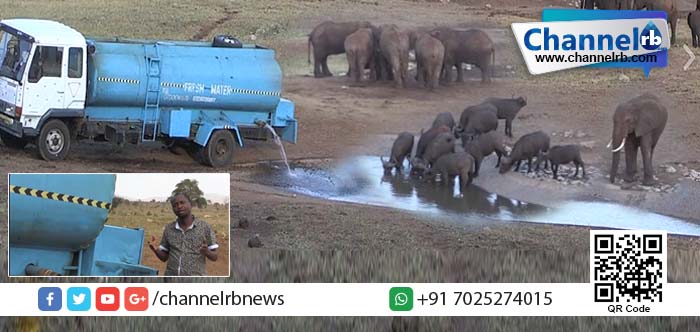 You are currently viewing ഇവന്‍ വന്യമൃഗങ്ങളുടെ ദാഹമകറ്റുന്നവന്‍… പ്രിയപ്പെട്ട പാട്രിക്, നിന്നെ ഞങ്ങള്‍ ഹൃദയത്തോട് ചേര്‍ക്കുന്നു.