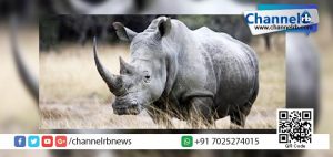 Read more about the article ഒന്നു ചുറ്റിയടിച്ച് വരാം…