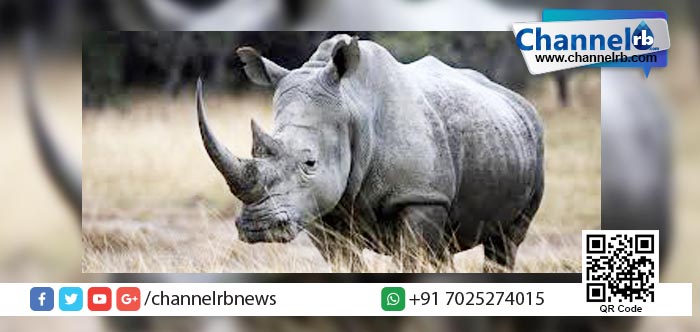 You are currently viewing ഒന്നു ചുറ്റിയടിച്ച് വരാം…